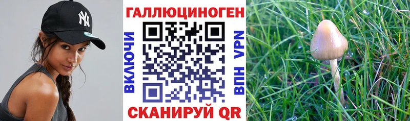 Галлюциногенные грибы мицелий  купить   kraken сайт  Ярцево 