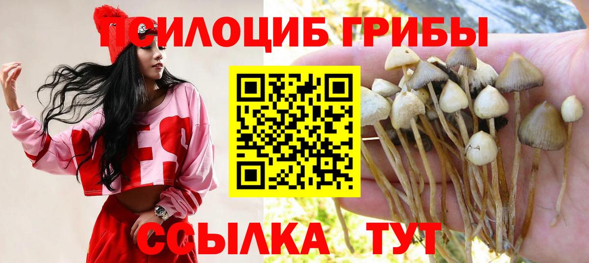 Галлюциногенные грибы прущие грибы  где можно купить наркотик  Псилоцибиновые грибы Cubensis  Ярцево  Вход с VPN 
